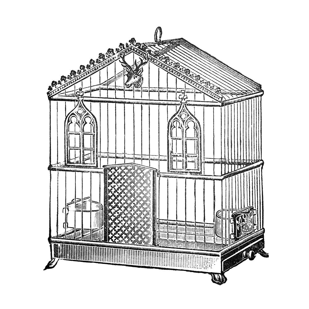 Etchings: Birdcage - Peaked top, window and deer head detail. art print by Catalog Illustration for $57.95 CAD