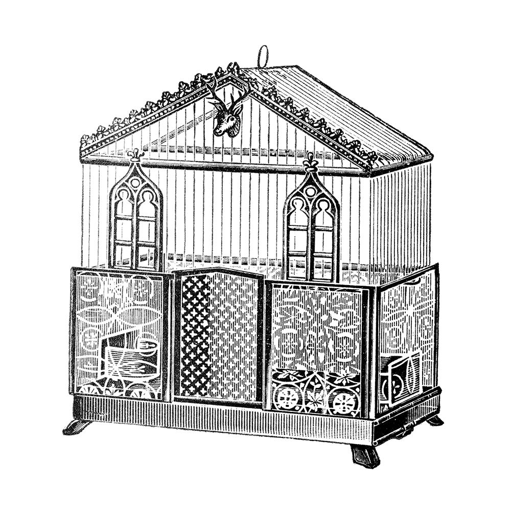 Etchings: Birdcage - Peaked top, patterned base, windows and deer head detail. art print by Catalog Illustration for $57.95 CAD