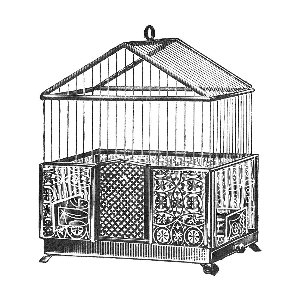 Etchings: Birdcage - Peaked top, patterned base. art print by Catalog Illustration for $57.95 CAD
