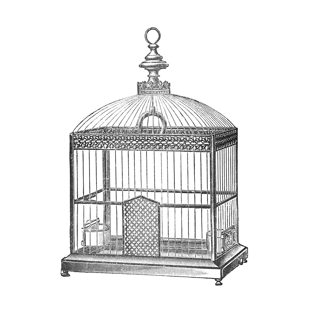 Etchings: Birdcage - Arched top, filigree detail. art print by Catalog Illustration for $57.95 CAD