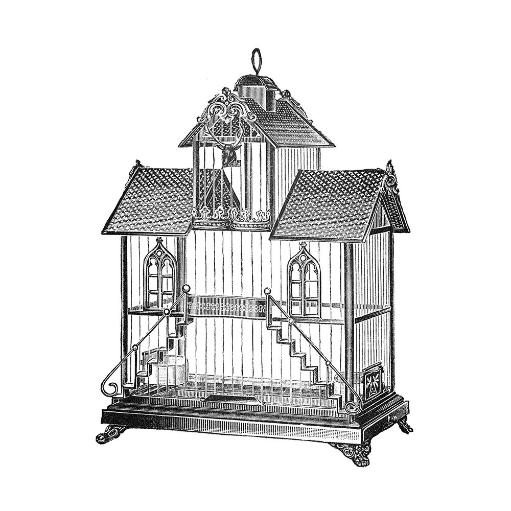 Etchings: Birdcage - Victorian house with steps. art print by Catalog Illustration for $57.95 CAD