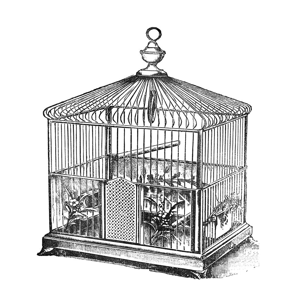 Etchings: Birdcage - Onion peak top, floral base. art print by Catalog Illustration for $57.95 CAD