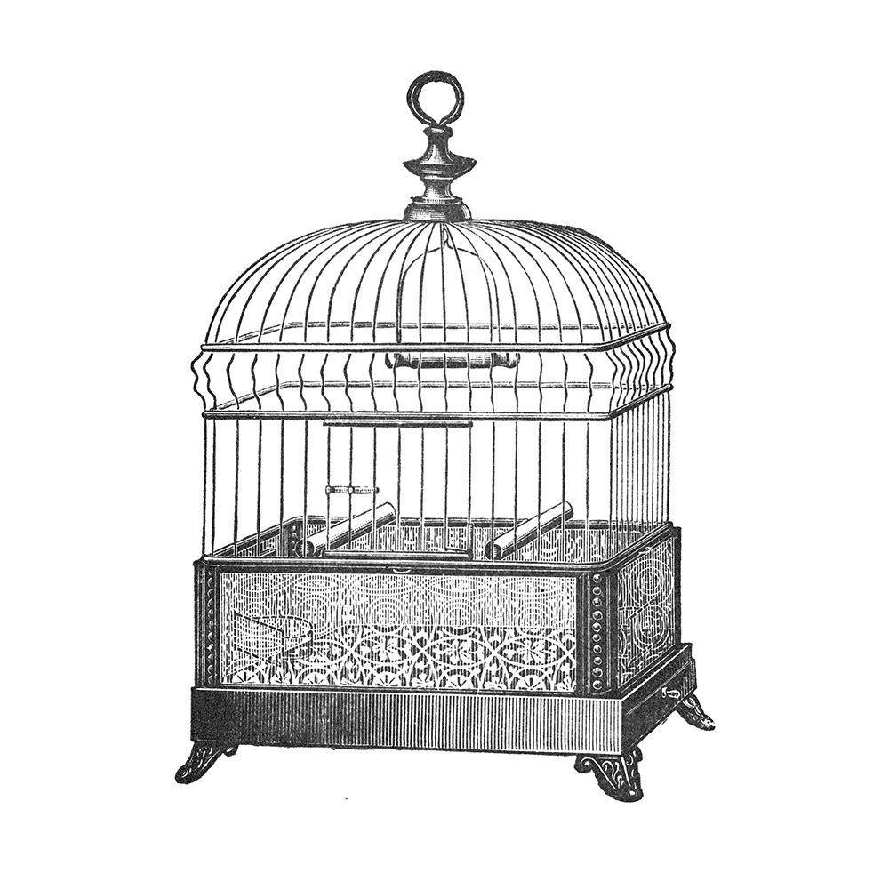 Etchings: Birdcage - Gable top, filigree base. art print by Catalog Illustration for $57.95 CAD