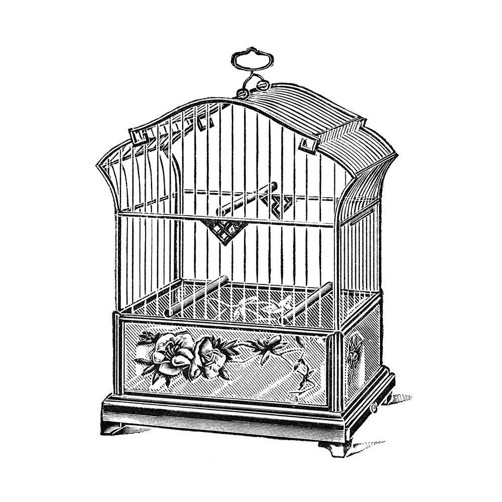 Etchings: Birdcage - Gable top, rose base. art print by Catalog Illustration for $57.95 CAD
