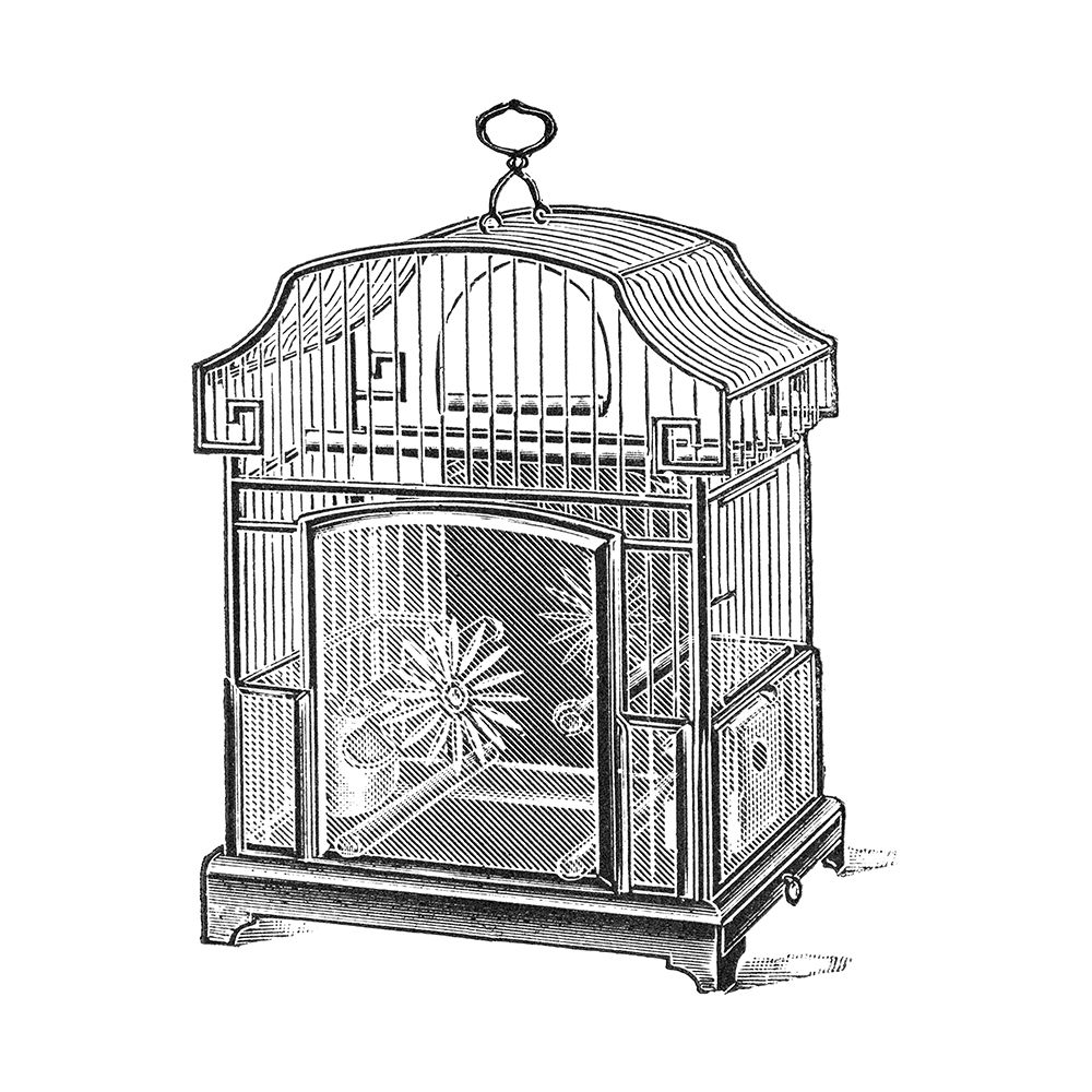 Etchings: Birdcage - Gable top, daisy base. art print by Catalog Illustration for $57.95 CAD