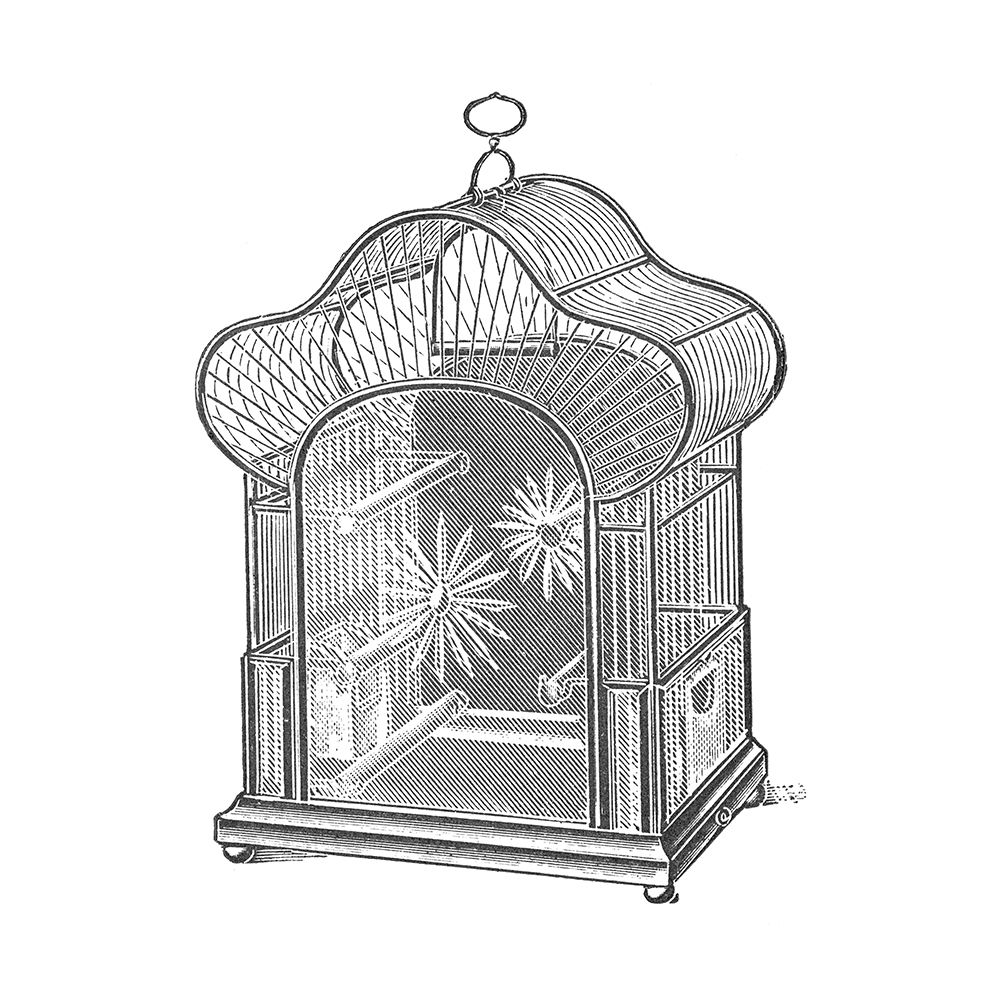 Etchings: Birdcage - Palmate top, daisy detail. art print by Catalog Illustration for $57.95 CAD