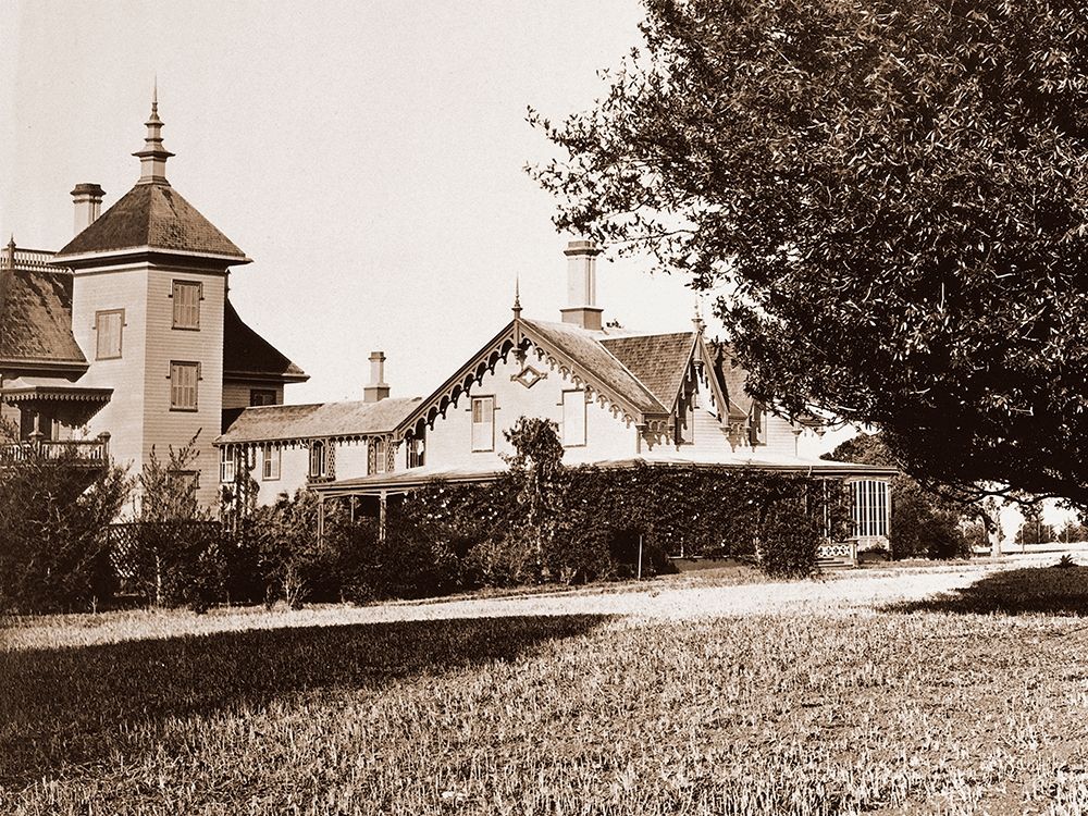 Residence of Mr. Howard, San Mateo, California, with Olive Tree, 1863-1880 art print by Carleton Watkins for $57.95 CAD