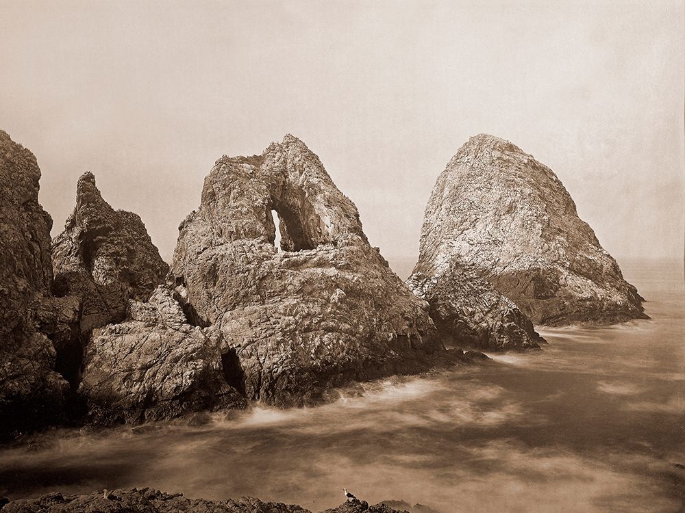 Sugarloaf Islands at Fishermans Bay, Farallon Islands, San Francisco, California, 1869 art print by Carleton Watkins for $57.95 CAD