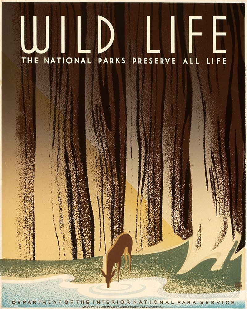 Wild Life; The National Parks Preserve All Life, ca. 1936-1940 art print by Frank S. Nicholson for $57.95 CAD