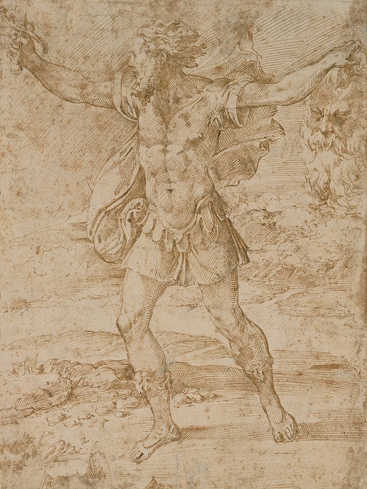 David with the Head of Goliath art print by F. Parmigianino for $57.95 CAD
