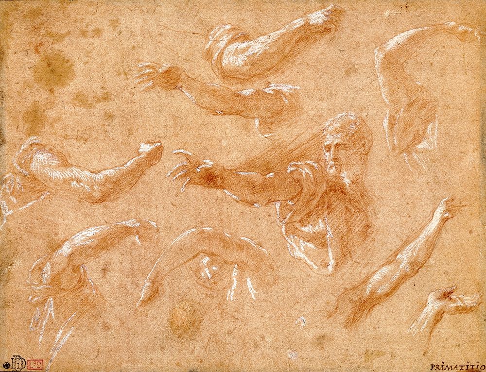Study of God the Father with Angels art print by Francesco Primaticcio for $57.95 CAD