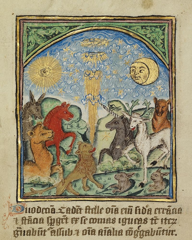 The Twelfth Sign before the Day of Judgement art print by Unknown 12th Century English Illuminator for $57.95 CAD