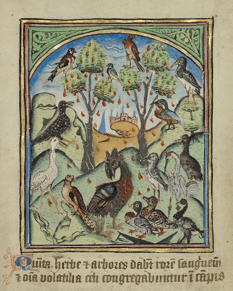 The Fifth Sign before the Day of Judgement art print by Unknown 12th Century English Illuminator for $57.95 CAD