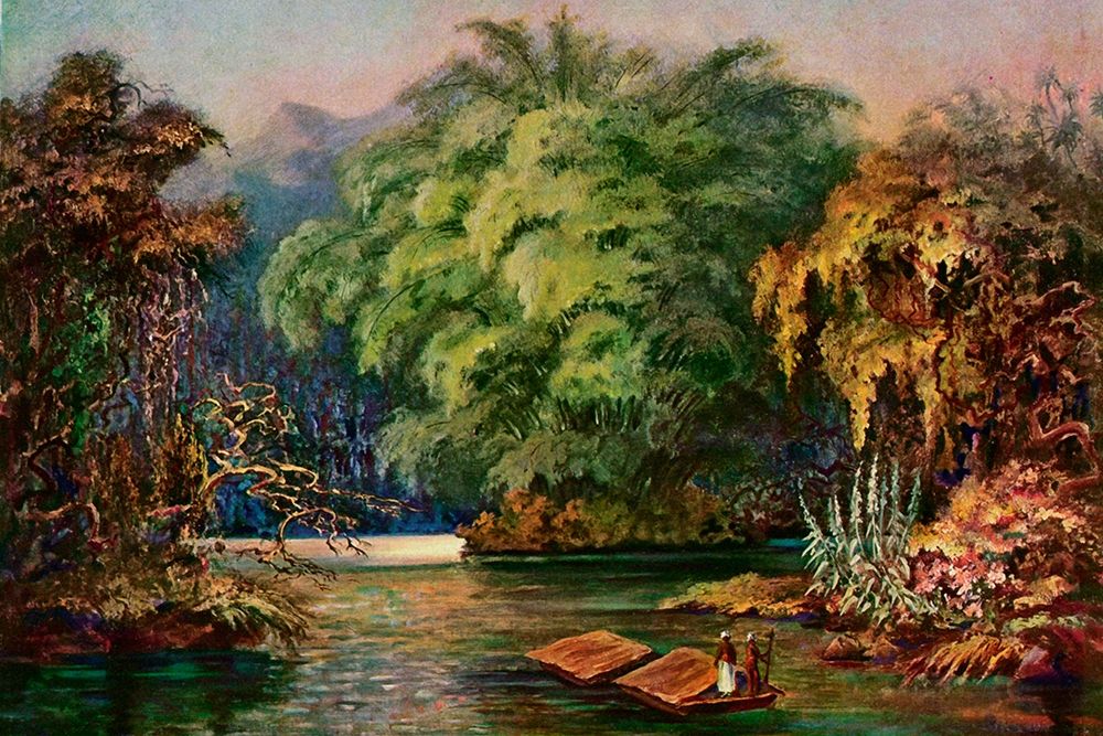 Riesenbambus von Ceylon Fahrt auf dem Schwarzen Fluss Kalu Ganga art print by Ernst Haeckel for $57.95 CAD