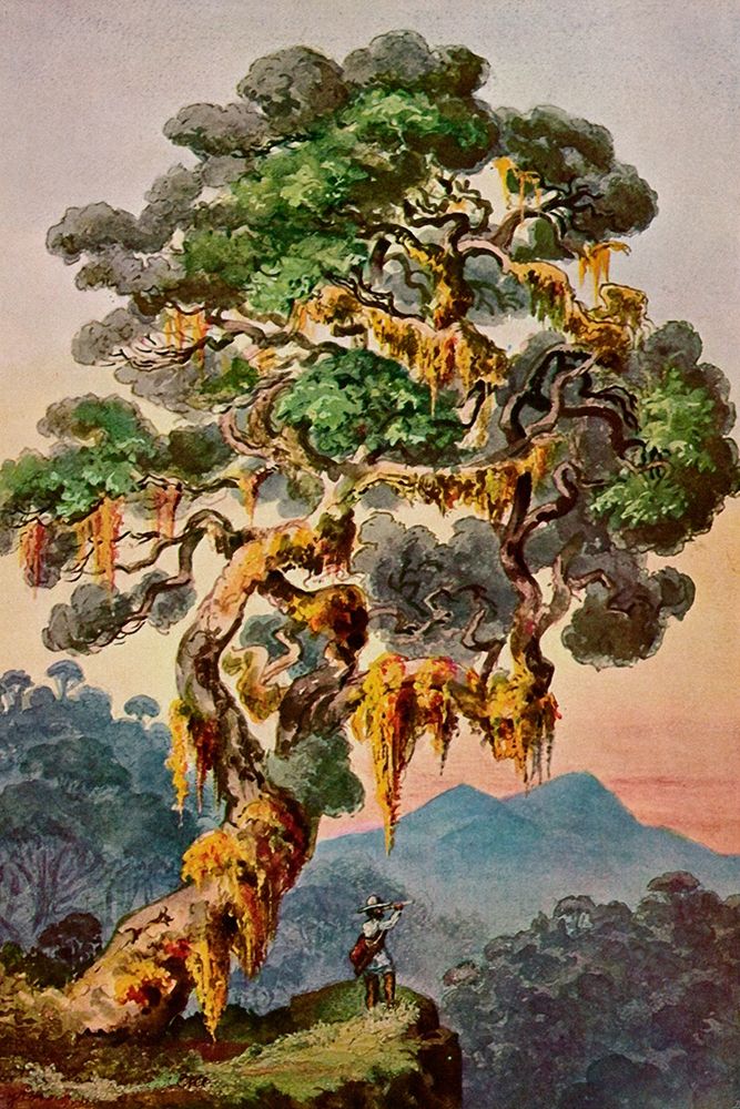Der Vulkan Merapi auf Sumatra Hochland von Padang art print by Ernst Haeckel for $57.95 CAD