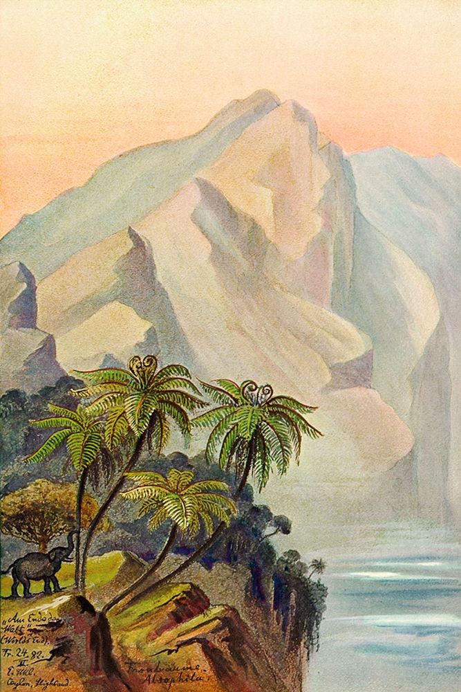 Am Ende der Welt Worlds End. Ceylon art print by Ernst Haeckel for $57.95 CAD