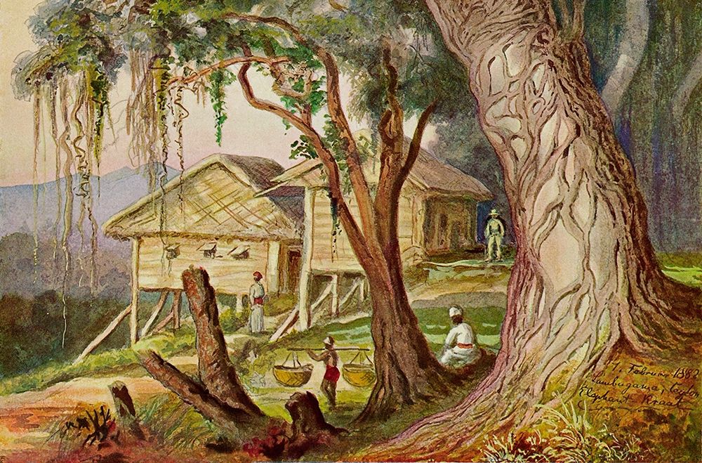 Elefanten-Corral Lambugana, Ceylon art print by Ernst Haeckel for $57.95 CAD