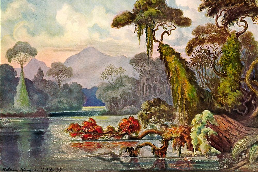 Urwald am Blauen Fluß Kelany-Ganga, Ceylon art print by Ernst Haeckel for $57.95 CAD