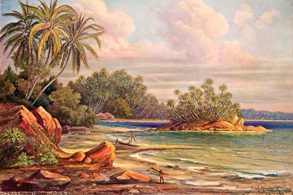 Cocos-Insel bei Belligemma (Gan-Duva) Ceylon art print by Ernst Haeckel for $57.95 CAD