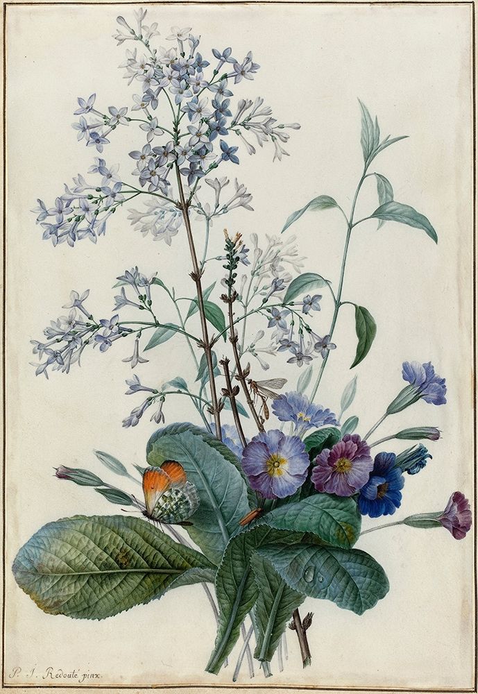 A Bouquet of Flowers with Insects art print by Pierre Joseph Redoute for $57.95 CAD