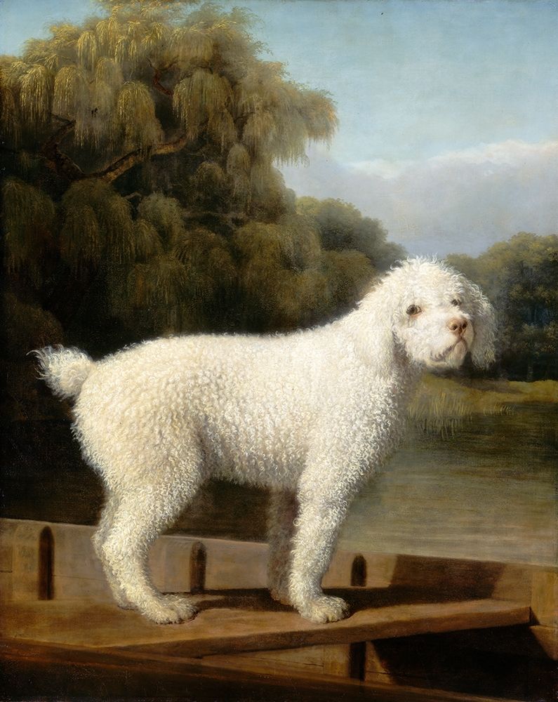 White Poodle in a Punt, c. 1780 art print by George Stubbs for $57.95 CAD