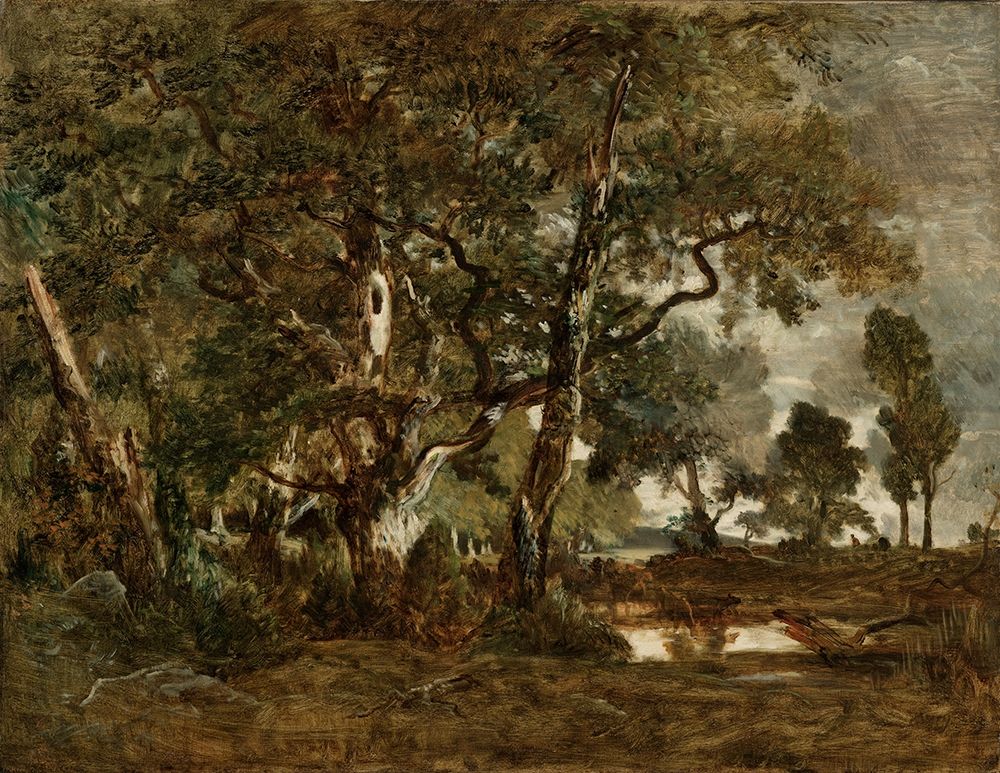 Forest of Fontainebleau, Cluster of Tall Trees Overlooking the Plain of Clair-Bois at the Edge of Ba art print by Theodore Rousseau for $57.95 CAD