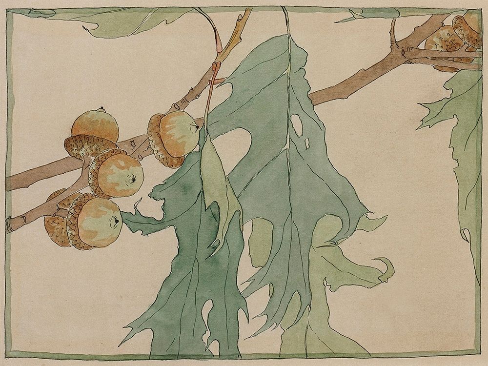Oak/Acorns art print by Hannah Borger Overbeck for $57.95 CAD