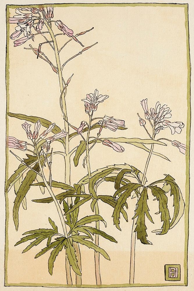 Pink Flowers with Spiky Green Leaves art print by Hannah Borger Overbeck for $57.95 CAD