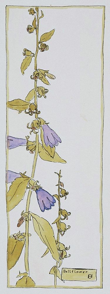 Bell Flower art print by Hannah Borger Overbeck for $57.95 CAD