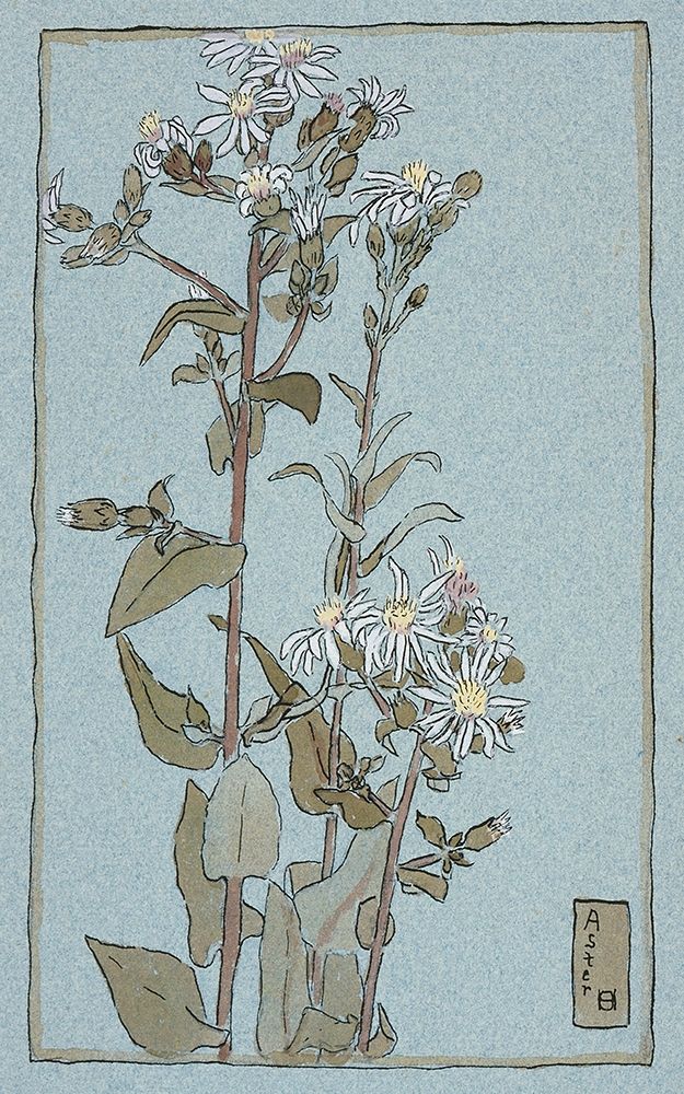 Aster on Green Ground art print by Hannah Borger Overbeck for $57.95 CAD