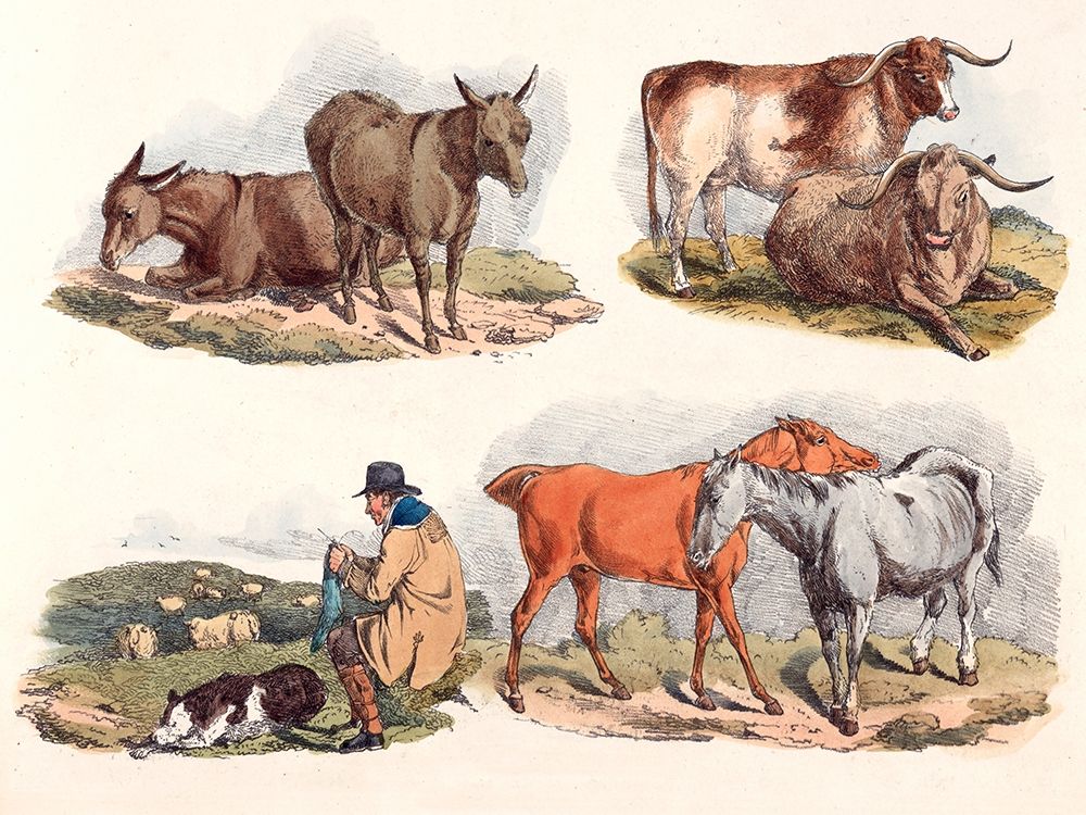 Knitting Shepherd, 1817 art print by Henry Thomas Alken for $57.95 CAD