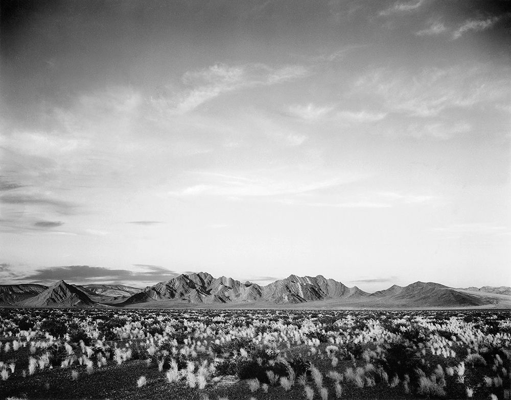 Distant mountains: desert and shrubs in foreground near Death Valley National Monument, California - art print by Ansel Adams for $57.95 CAD