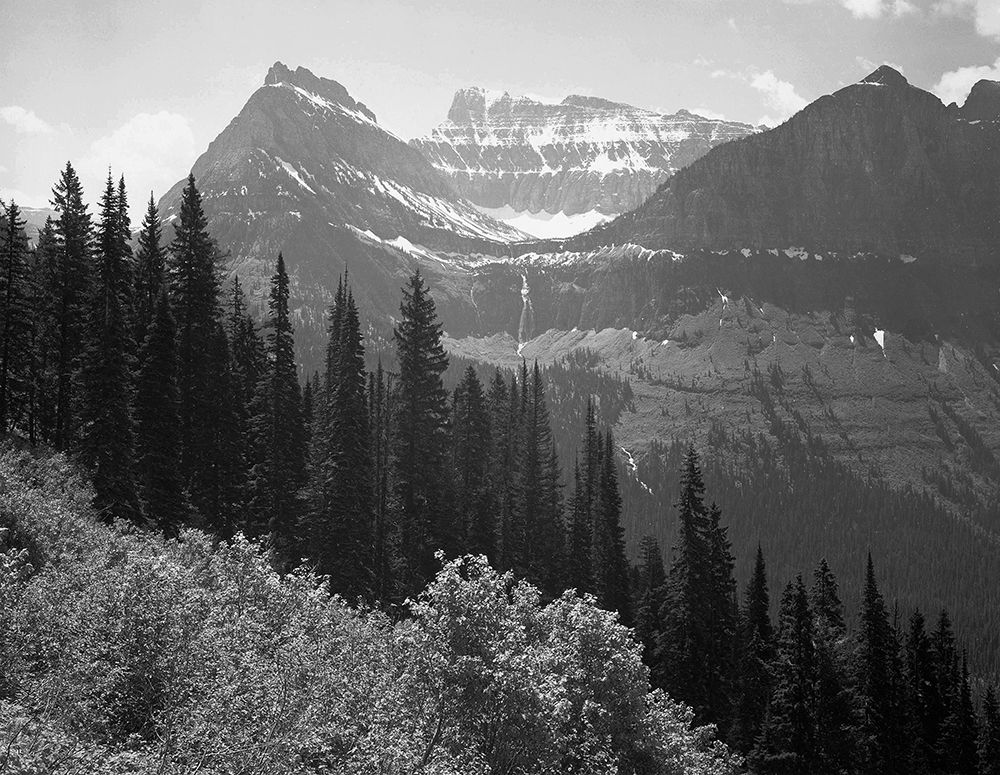 Trees, Bushes and Mountains, Glacier National Park, Montana - National Parks and Monuments, 1941 art print by Ansel Adams for $57.95 CAD