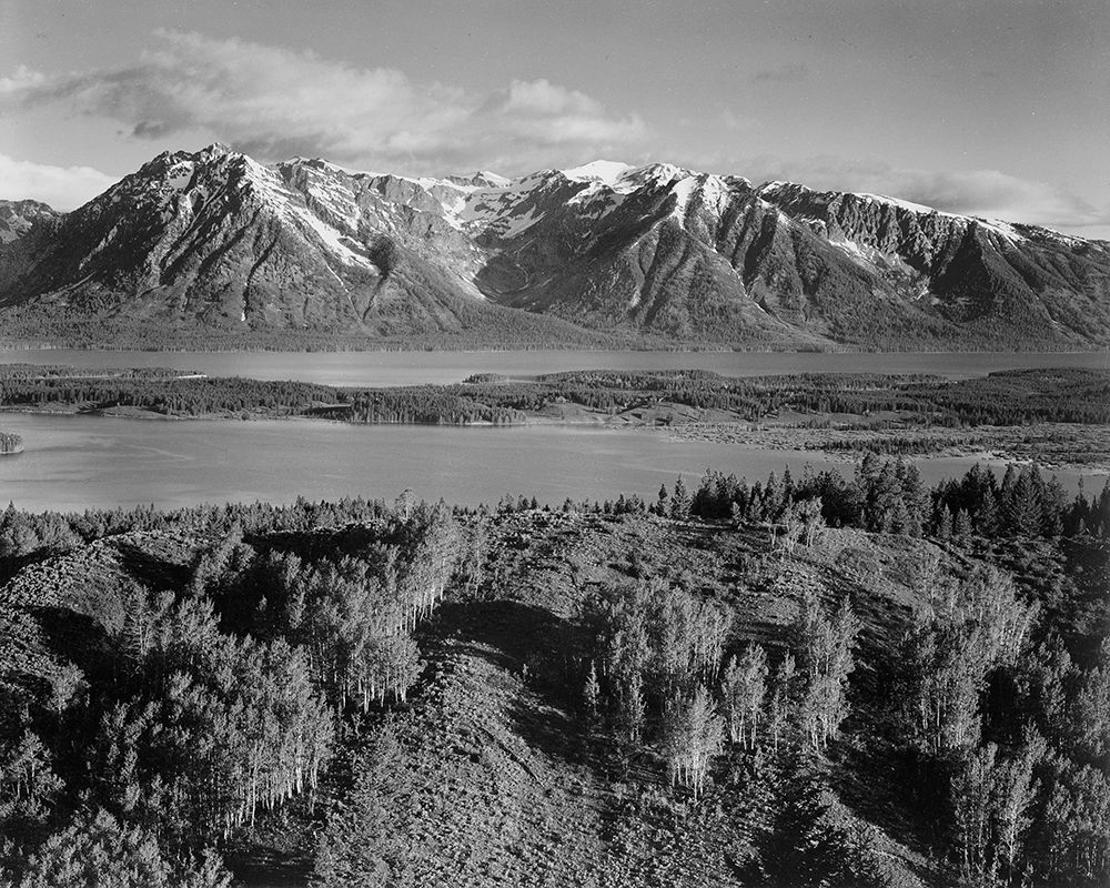 View across river valley, Grand Teton National Park, Wyoming, 1941 art print by Ansel Adams for $57.95 CAD