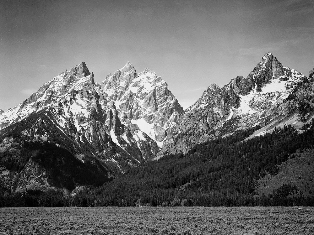 Grassy valley and snow covered peaks, Grand Teton National Park, Wyoming, 1941 art print by Ansel Adams for $57.95 CAD