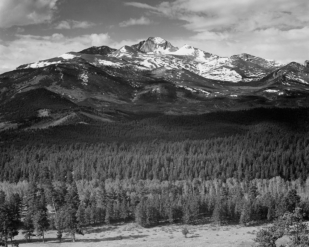 Trees in foreground, snow covered mountain in background, in Rocky Mountain National Park, Colorado, art print by Ansel Adams for $57.95 CAD