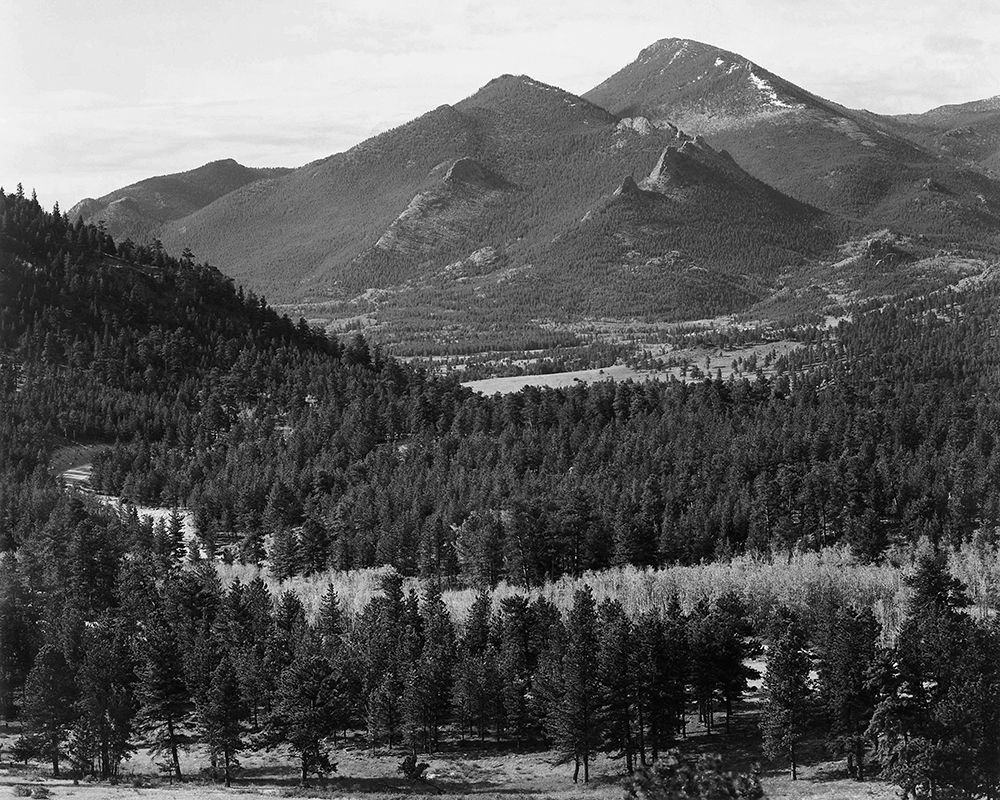 View with trees in foreground, barren mountains in background,  in Rocky Mountain National Park, Col art print by Ansel Adams for $57.95 CAD