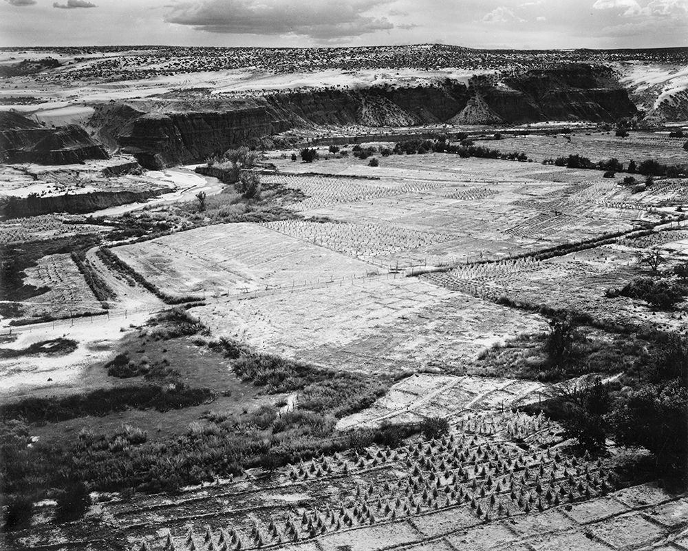 Corn Field, Indian Farm near Tuba City, Arizona, in Rain, 1941 art print by Ansel Adams for $57.95 CAD
