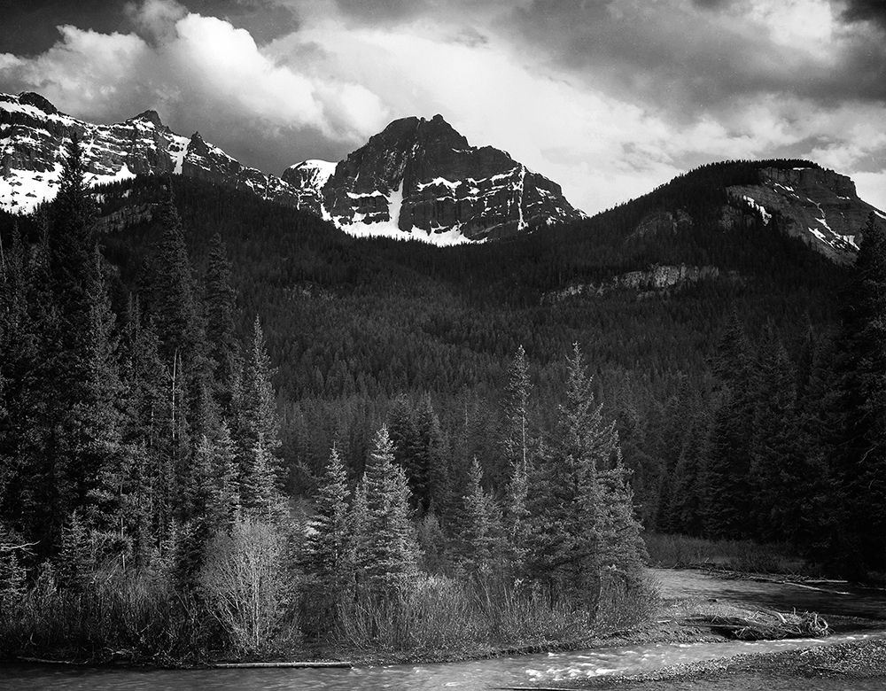 View of streamside trees and snow on mountains - Northeast Portion, Yellowstone National Park, Wyomi art print by Ansel Adams for $57.95 CAD