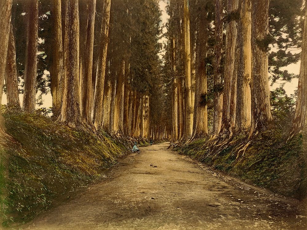 View of Imaichi art print by Unknown 19th Century Japanese Photographer for $57.95 CAD