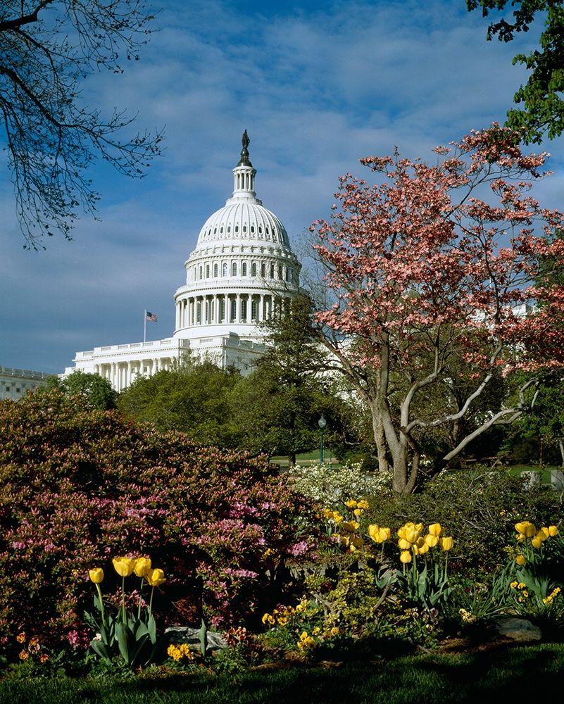 U.S. Capitol, Washington, D.C. Number 3 art print by Carol Highsmith for $57.95 CAD