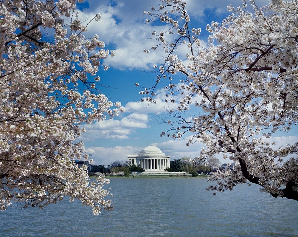 Jefferson Memorial with cherry blossoms, Washington, D.C. art print by Carol Highsmith for $57.95 CAD