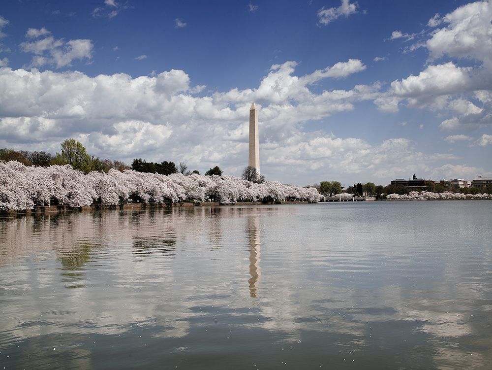 Washington Monument, Washington, D.C. art print by Carol Highsmith for $57.95 CAD