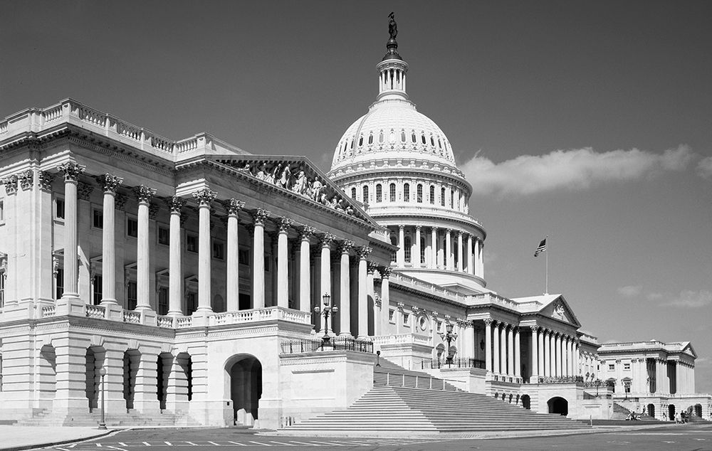 U.S. Capitol, Washington, D.C. - Black and White Variant art print by Carol Highmith for $57.95 CAD