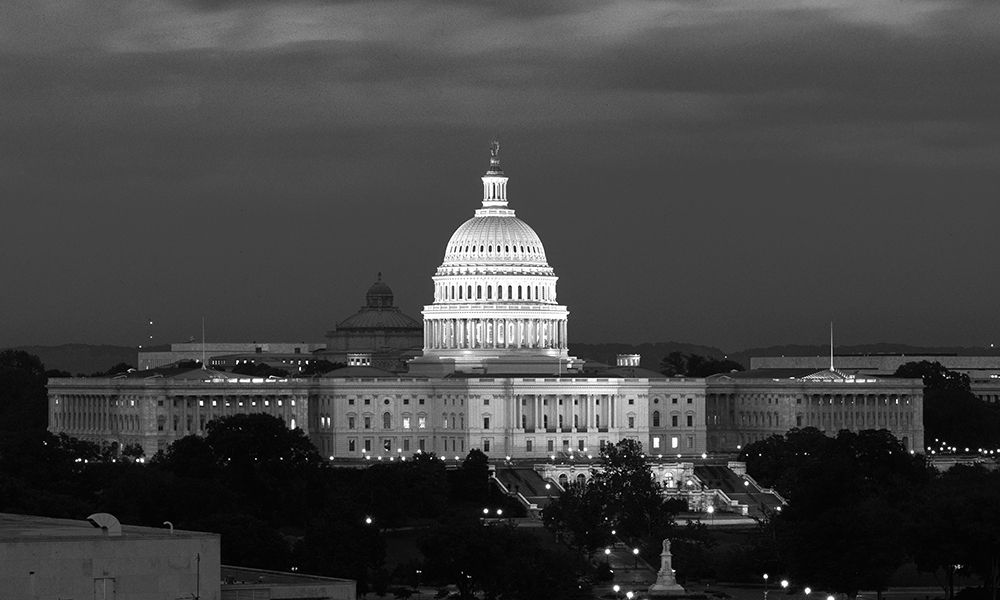 U.S. Capitol, Washington, D.C. Number 2 - Black and White Variant art print by Carol Highmith for $57.95 CAD