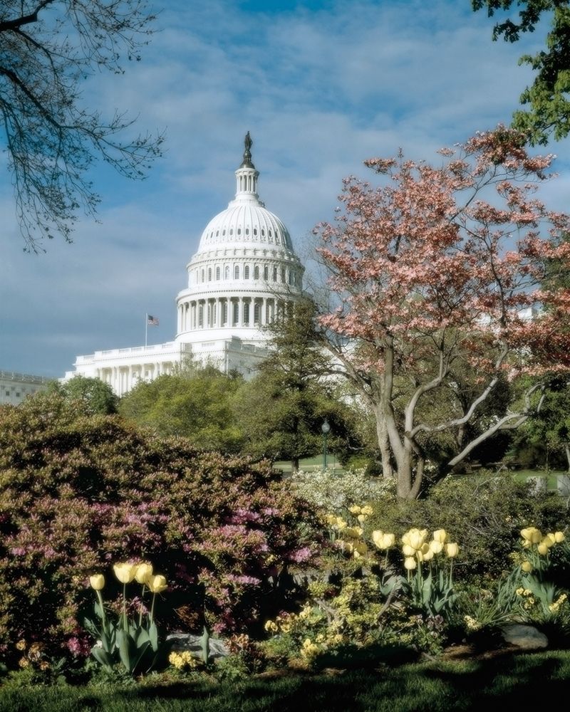 U.S. Capitol, Washington, D.C. Number 3 - Vintage Style Photo Tint Variant art print by Carol Highmith for $57.95 CAD