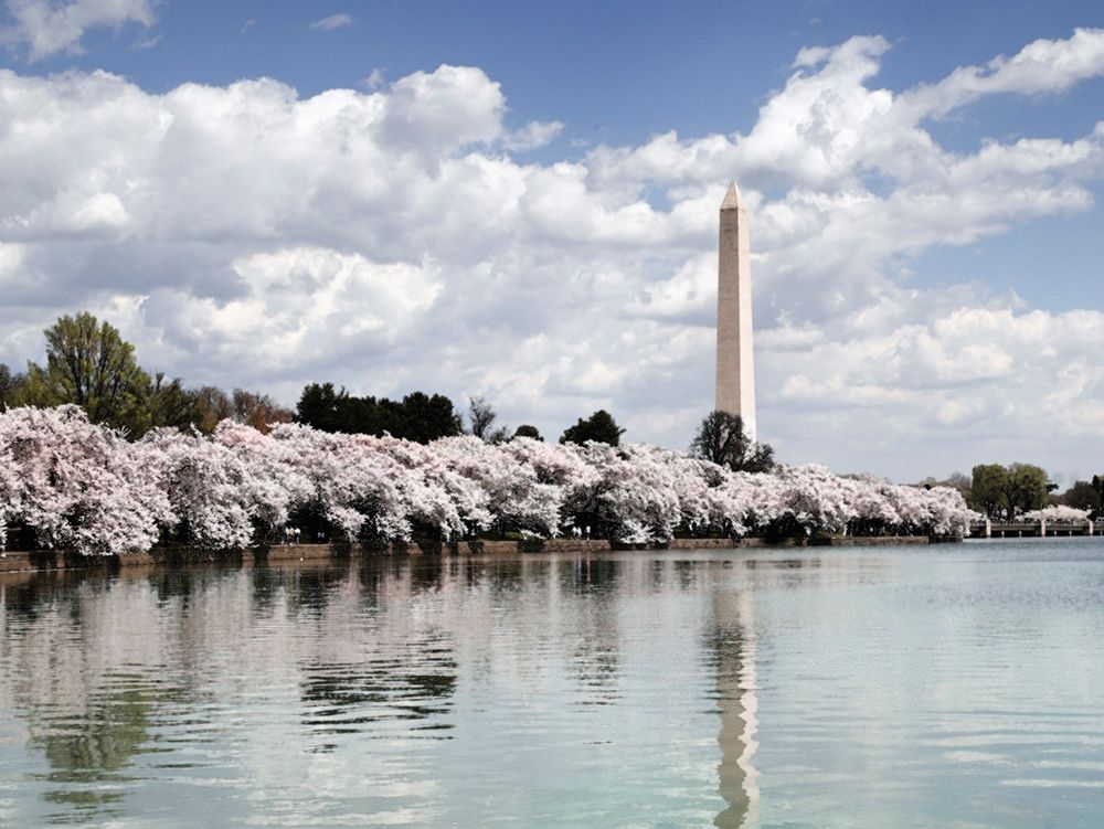 Washington Monument, Washington, D.C. - Vintage Style Photo Tint Variant art print by Carol Highmith for $57.95 CAD