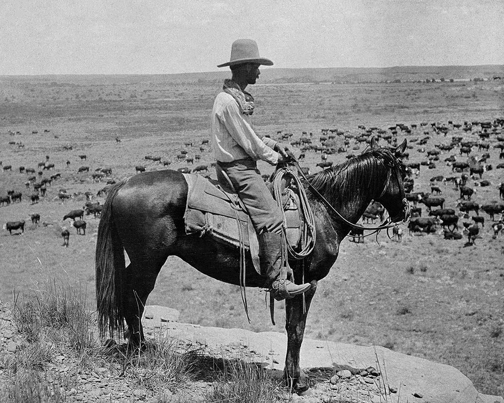 A Texas cowboy, 1907 art print by Erwin E. Smith for $57.95 CAD