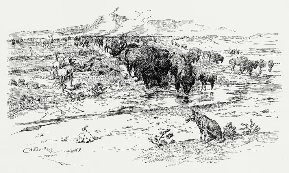 Natures Cattle, 1899 art print by Charles Marion Russell for $57.95 CAD