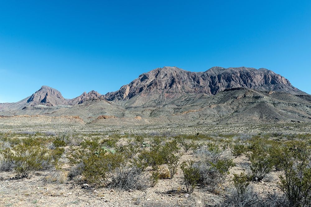 Scenery in Big Bend National Park, TX art print by Carol Highmith for $57.95 CAD